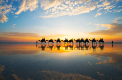 澳洲凯布尔海滩-骑骆驼观赏日落和更多令人惊叹的体验