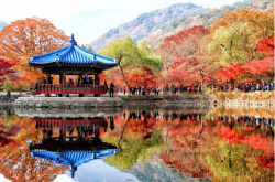 探索韩国雪岳山国家公园的魅力-探索全世界旅游