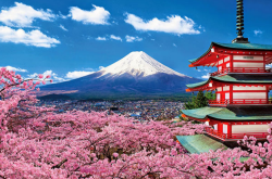 探寻日本之美-最佳季节、美食之旅与独特体验