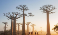 旅游网-非洲旅游的狂野永恒之美