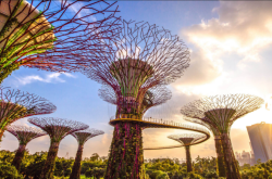新加坡备受瞩目的旅游胜地