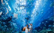 旅游网-越南旅游参观时代之城水族馆_河内热闹的教育和娱乐目的地