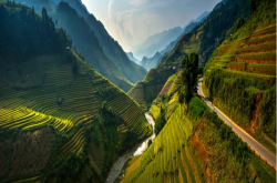 旅游网-中国旅游_欣赏中国红河哈尼梯田的美丽