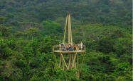 旅游网-巴拿马旅游甘博阿雨林_探索巴拿马的大自然之旅