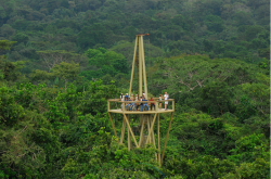 旅游网-巴拿马旅游甘博阿雨林_探索巴拿马的大自然之旅