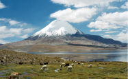 旅游网-智利旅游劳卡河国家公园的探险_爬山、徒步旅行和探索湖泊