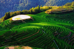 云和梯田-中国浙江省的农业杰作与自然奇观